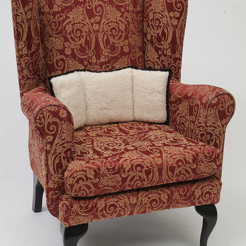 Padded Back Support Cushion - Simplantex